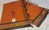 SAREES NEGAMAM WITH BLOUSE